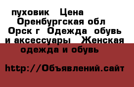 пуховик › Цена ­ 1 800 - Оренбургская обл., Орск г. Одежда, обувь и аксессуары » Женская одежда и обувь   